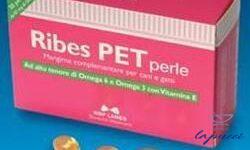 RIBES PET BLISTER 30 PERLE